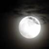 "When the Mooon Defies the Sun... Bloodshed Lies for Only One..."