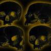 Highlighted images of human skulls.
