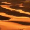 Dark Legacy: The Curse of Red Sand... The sands of the Sahara become stained with blood when a brutal massacre is ordered by an evil queen. The caravan you see is traveling the vast expanse with little water and no oasis in sight.