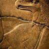 The Egyptian Falcon God Horus.